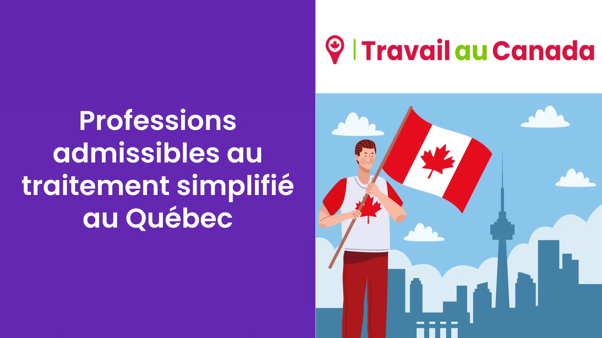 Professions admissibles au traitement simplifié au Québec